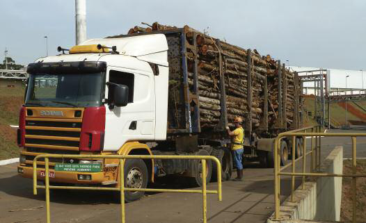 A truck load of eucalyptus logs is brought in to the Itapetininga plant, from plantations up to 70km away, for its MDP line