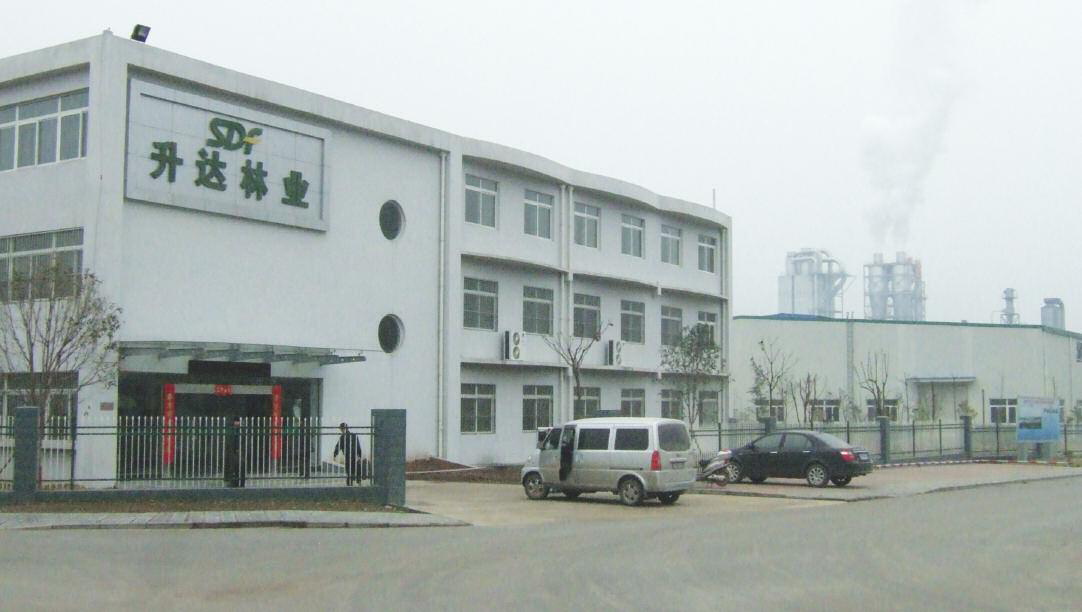 The offices at the factory of Shengda Forestry (SDF) in guangyuan City, Sichuan province