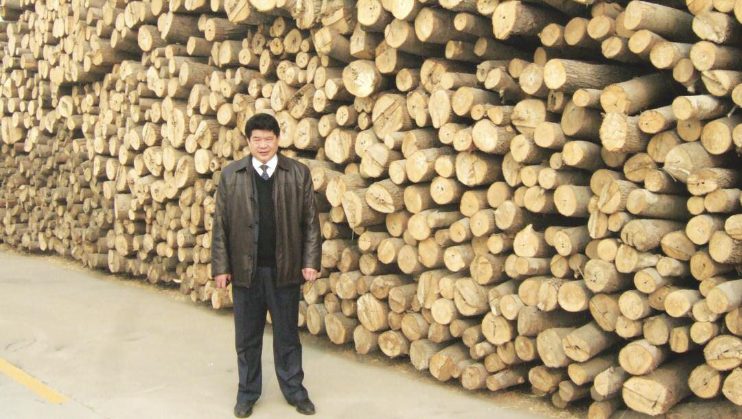 Mr Cai Weijin standing in front of a very neat stack of logs for OSB production. Neatness and cleanliness are features of Baoyuan's operation