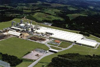 Bold acquisition: Arauco bought the Tafisa Brasil MDF and MDP plant at Pin in Brazil's Paran? state in 2009